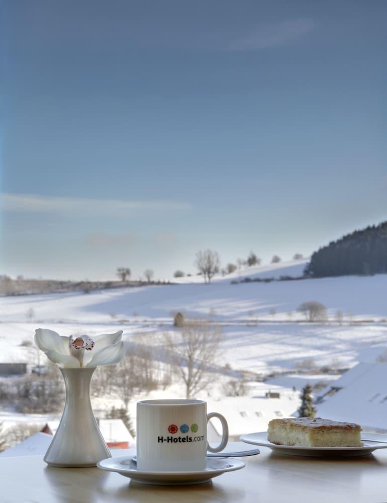 H+ Hotel Willingen Виллинген Экстерьер фото