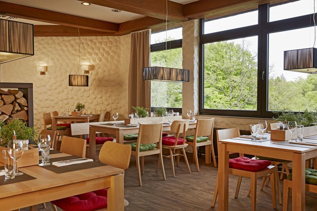 H+ Hotel Willingen Виллинген Экстерьер фото