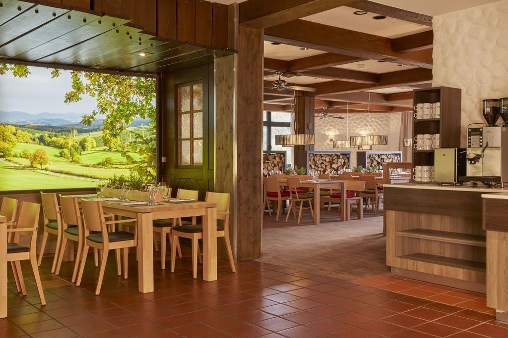 H+ Hotel Willingen Виллинген Экстерьер фото