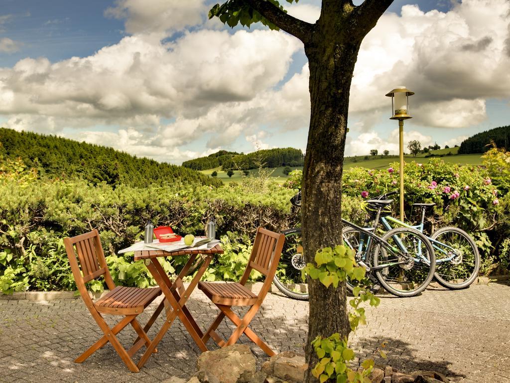 H+ Hotel Willingen Виллинген Экстерьер фото