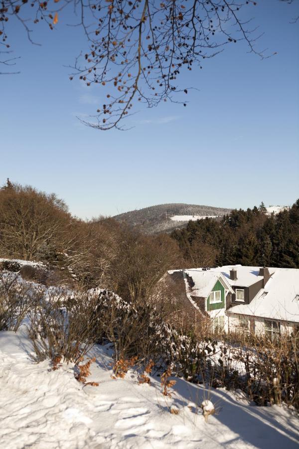 H+ Hotel Willingen Виллинген Экстерьер фото
